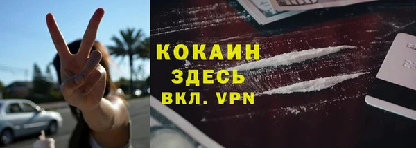 PSILOCYBIN Киренск