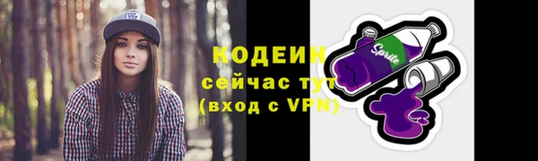 PSILOCYBIN Киренск