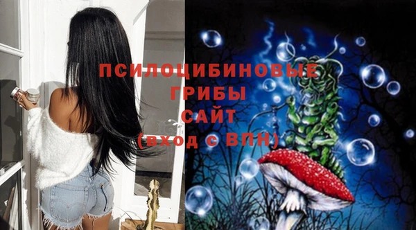 спайс Киреевск