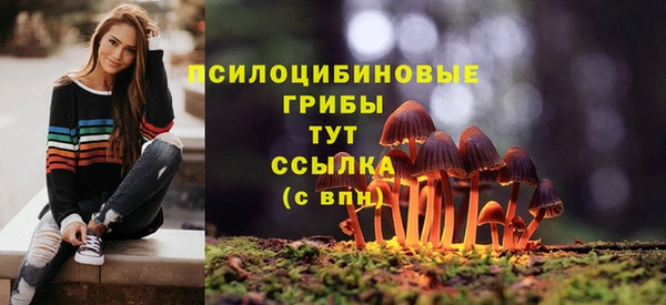 спайс Киреевск