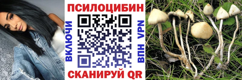 Купить  Азнакаево  Галлюциногенные грибы Magic Shrooms 